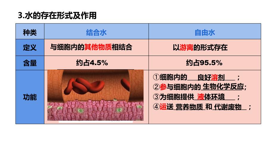 +2.2+细胞中的无机物+课件+2023—2024学年高一上学期生物人教版必修1_第4页