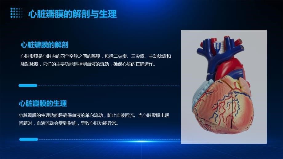 内科护理心脏瓣膜课件_第5页