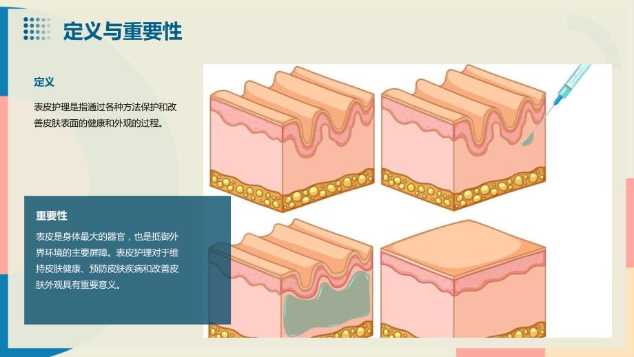 表皮护理讲解课件_第4页