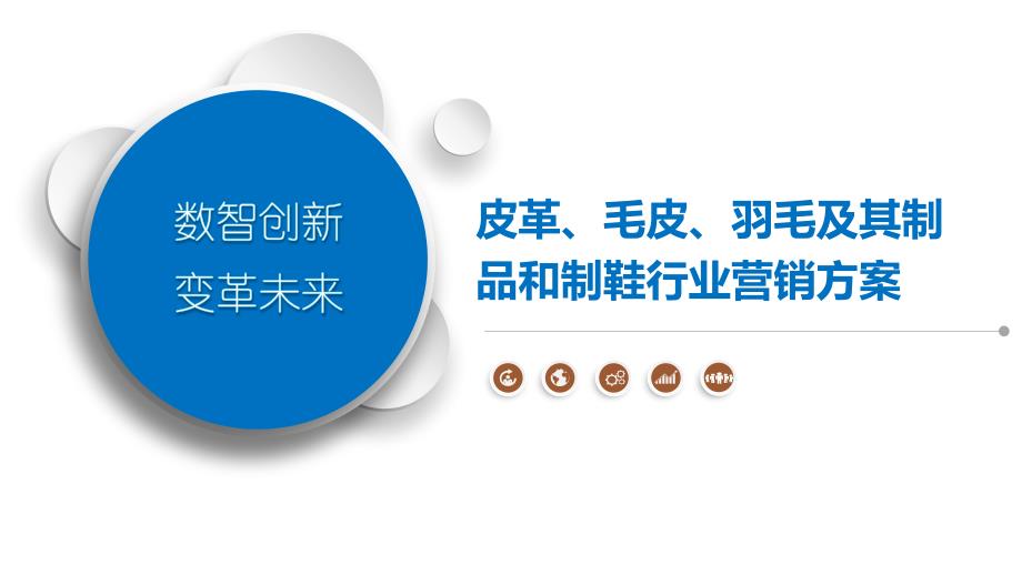 皮革、毛皮、羽毛及其制品和制鞋行业营销方案-第1篇_第1页