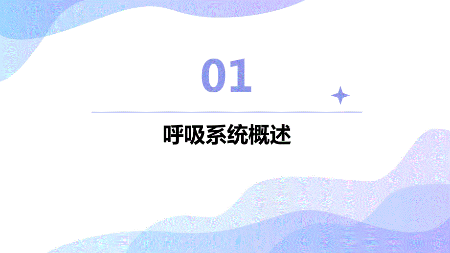 呼吸系统护理课件_第3页