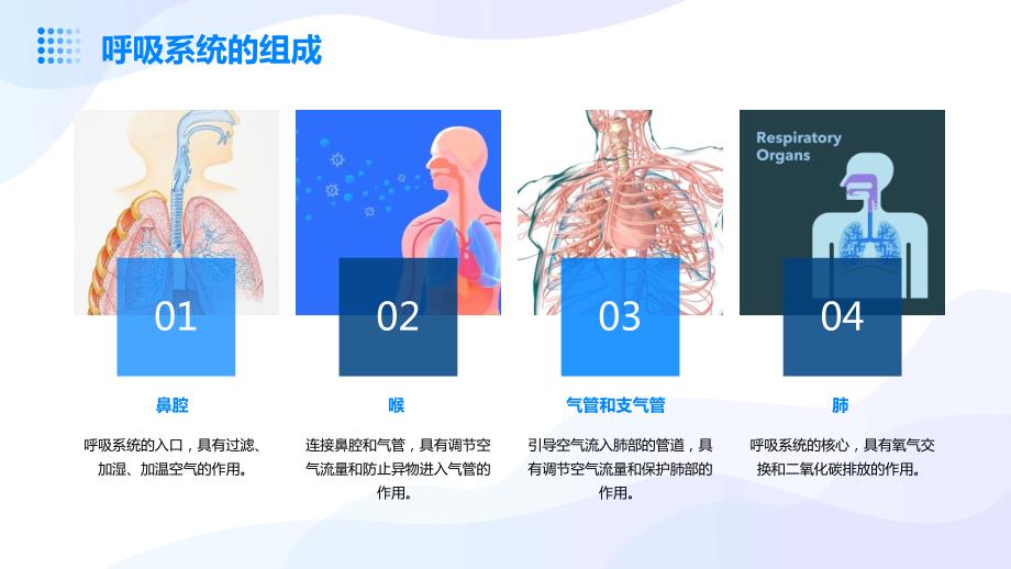 呼吸系统护理课件_第4页