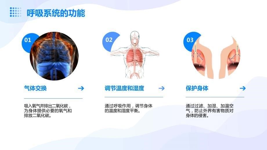 呼吸系统护理课件_第5页