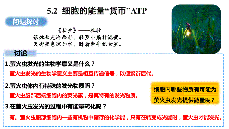 5.2细胞的能量“货币”ATP课件2023-2024学年高一上学期生物人教版必修1_第1页