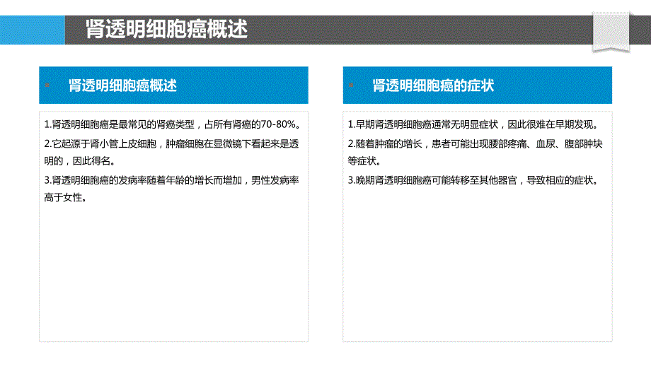 肾透明细胞癌的公共卫生策略_第4页