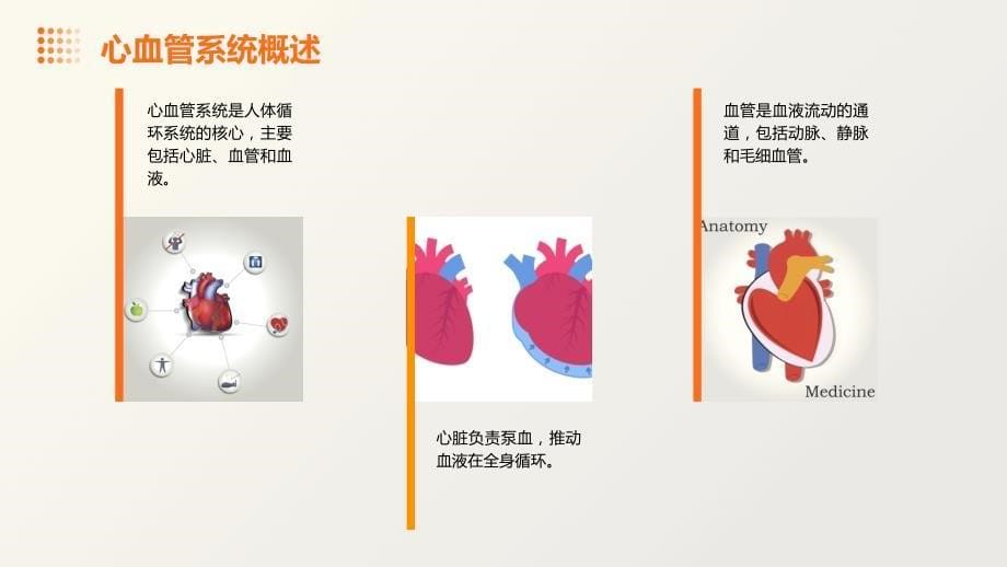 心血管危重护理课件_第5页