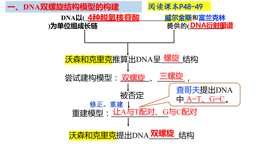 【公开课】DNA的结构课件高一下学期生物人教版必修2_第3页