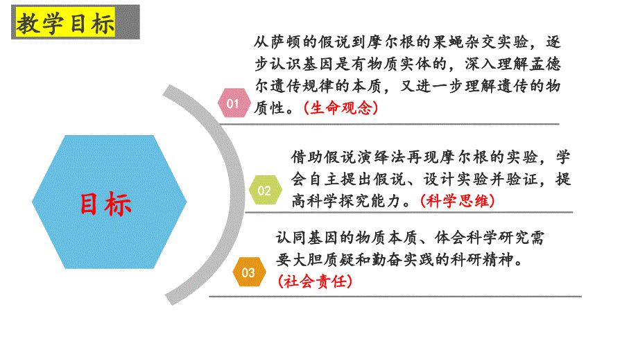 【公开课】基因在染色体上课件高一下学期生物人教版必修2_第2页