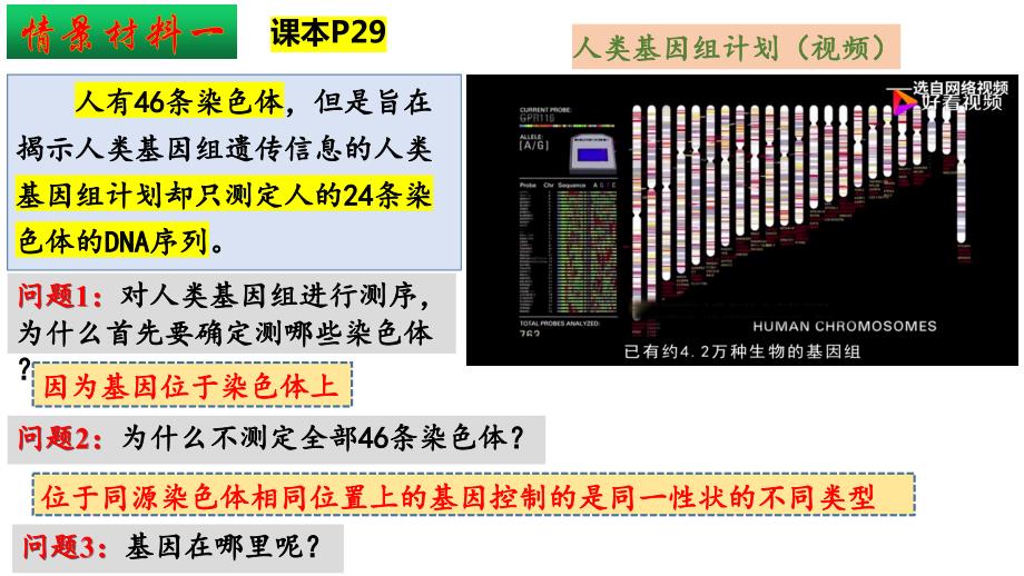 【公开课】基因在染色体上课件高一下学期生物人教版必修2_第3页