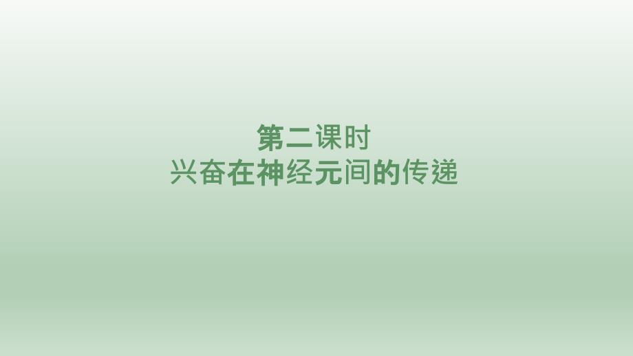 【公开课】神经冲动的产生和传导（第二课时）课件+高二上学期生物人教版选择性必修1_第3页