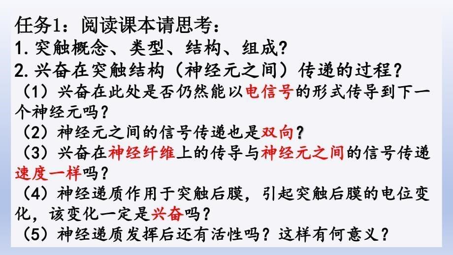 【公开课】神经冲动的产生和传导（第二课时）课件+高二上学期生物人教版选择性必修1_第5页