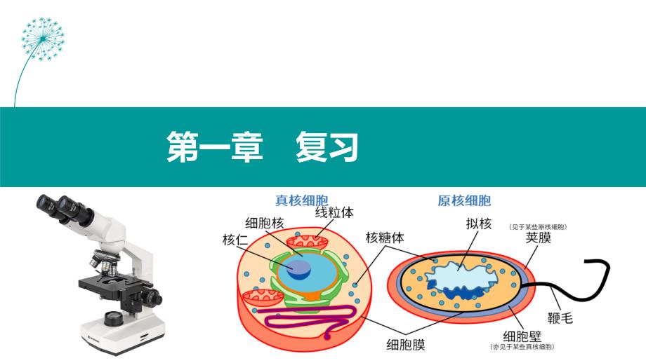 【课件】第1章走近细胞单元复习课件高一上学期生物人教版必修1_第1页