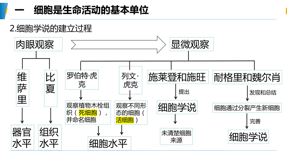 【课件】第1章走近细胞单元复习课件高一上学期生物人教版必修1_第3页