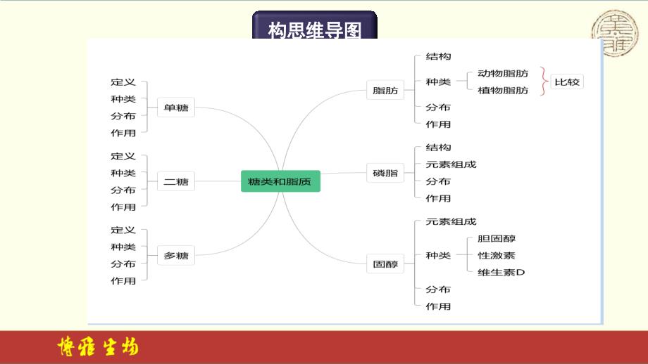 【课件】高三生物一轮复习课件：细胞中的糖类和脂质_第3页