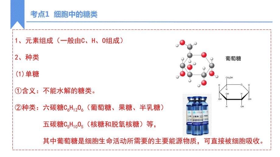 【课件】高三生物一轮复习课件：细胞中的糖类和脂质_第5页