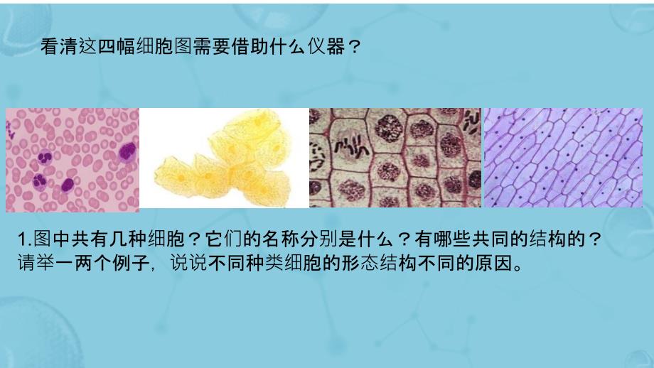 【课件】细胞的统一性与多样性（第1课时）+课件高一上学期生物人教版必修1_第2页