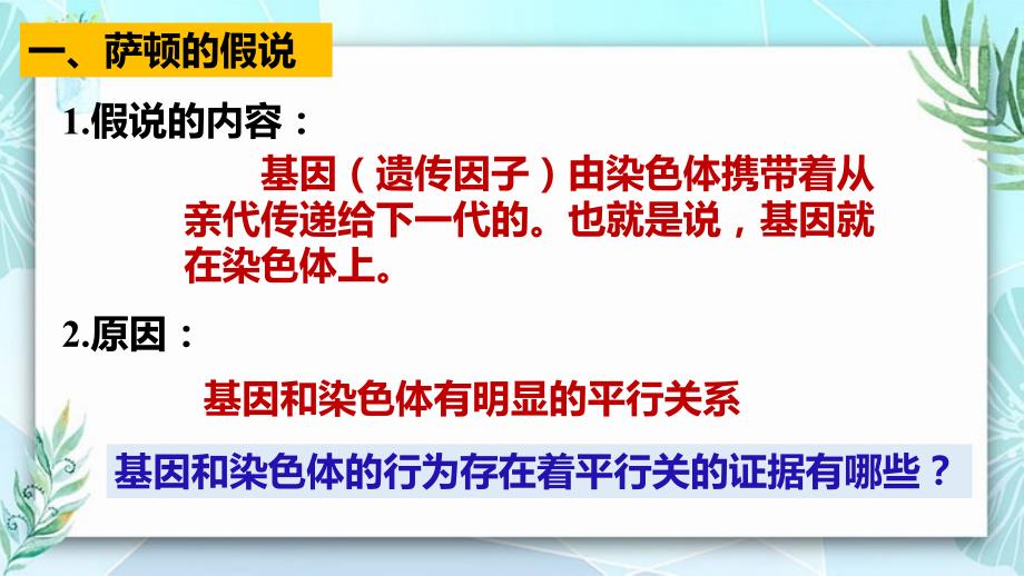 【公开课】基因在染色体上高一下学期生物人教版必修2_第3页