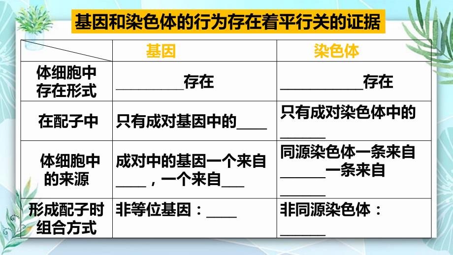 【公开课】基因在染色体上高一下学期生物人教版必修2_第4页