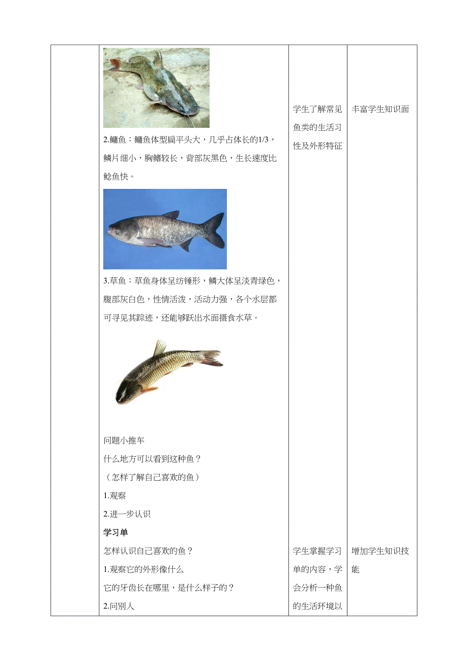 活动一《认识我喜欢的鱼》教案 综合实践活动 二年级上册_第4页