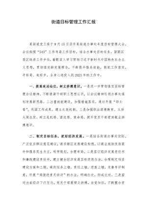 街道目标管理工作汇报