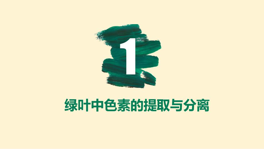 【生物课件】光合作用与能量转化 2023-2024学年高一上学期生物人教版必修1_第3页