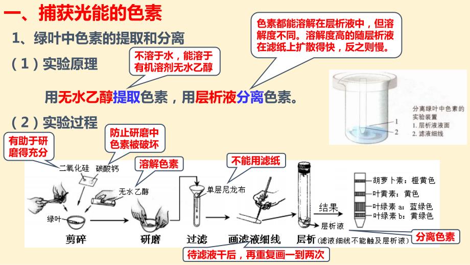 【生物课件】光合作用与能量转化 2023-2024学年高一上学期生物人教版必修1_第4页