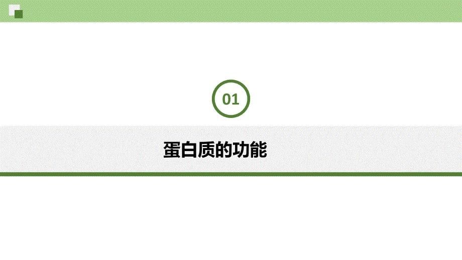 【生物课件】蛋白质是生命活动的主要承担者课件2023-2024学年高一生物人教版必修1_第5页