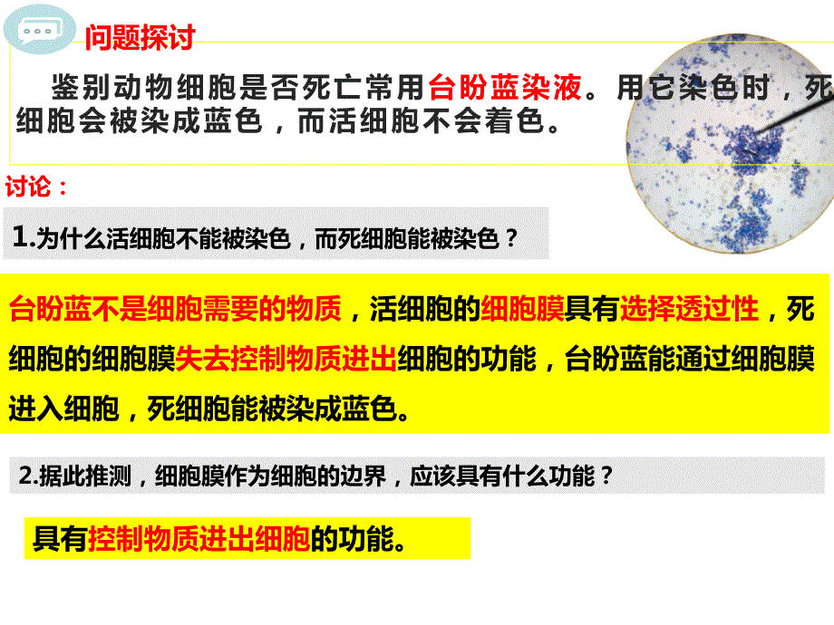 【生物课件】细胞膜的结构和功能课件 2023-2024学年高一上学期生物人教版必修1_第3页