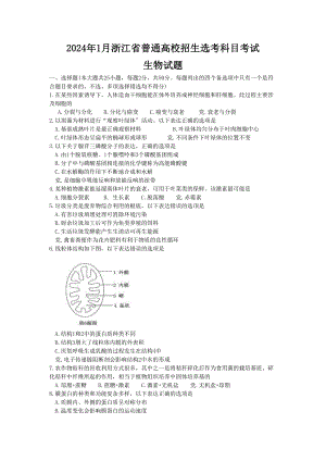 1月浙江省普通高校招生选考科目考试生物试卷含答案