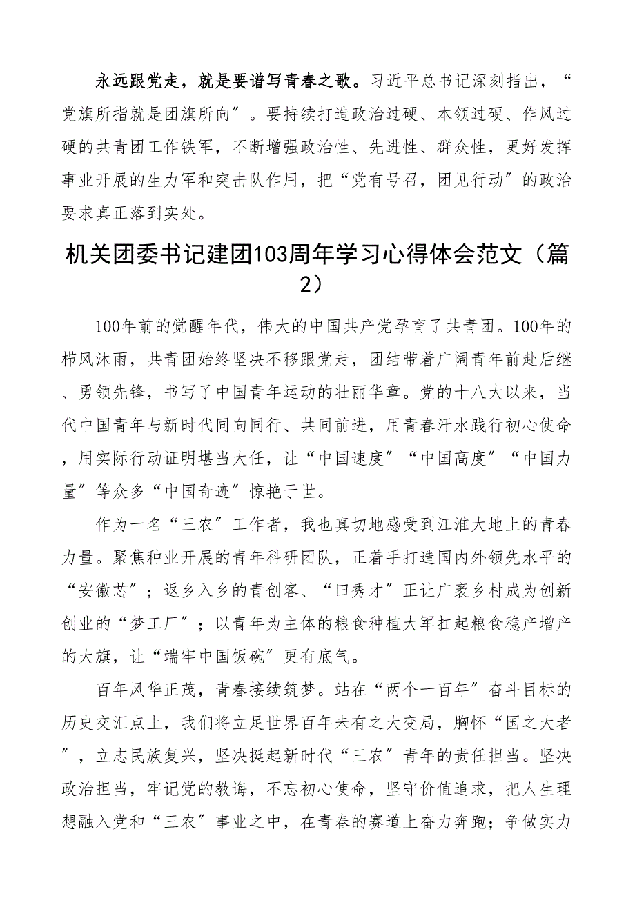 103周年学习心得体会含团干部团委书记团支部书记共青团研讨发言材料共5篇新编范文_第2页