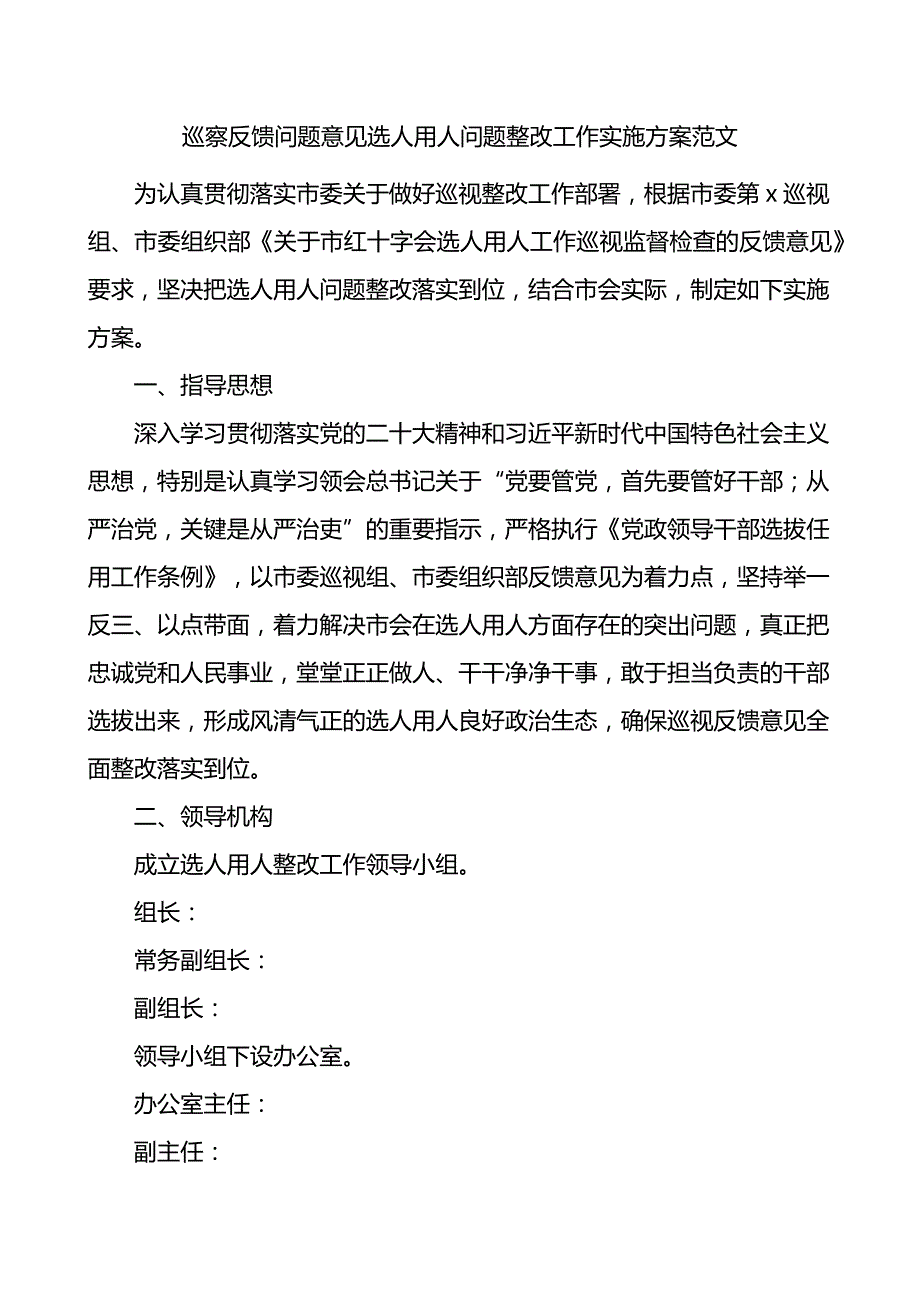 5.29 巡察反馈问题意见选人用人问题整改工作实施方案范文_第1页