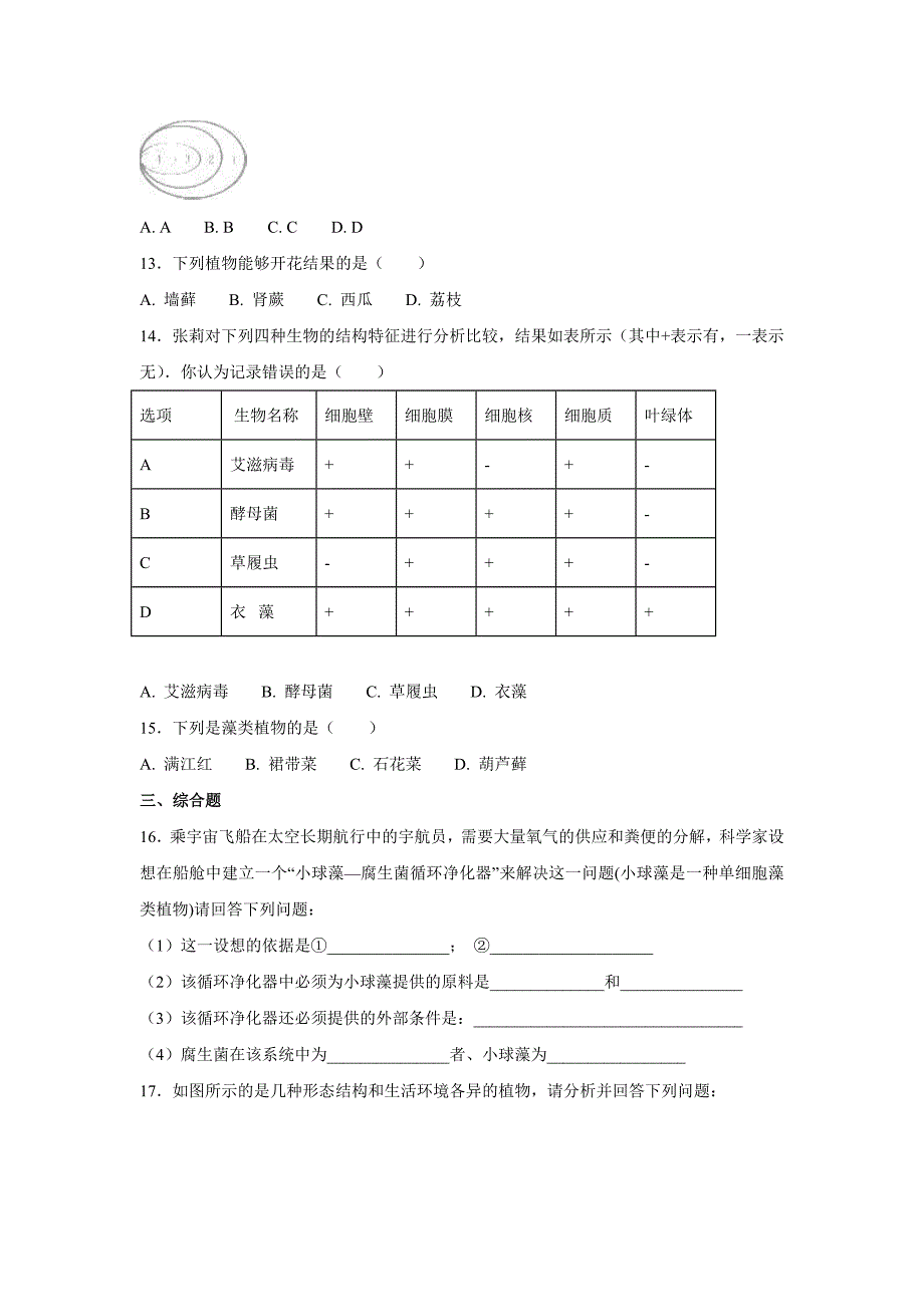 中考生物一轮复习专项训练5：生物圈中的绿色植物（含解析）_第3页