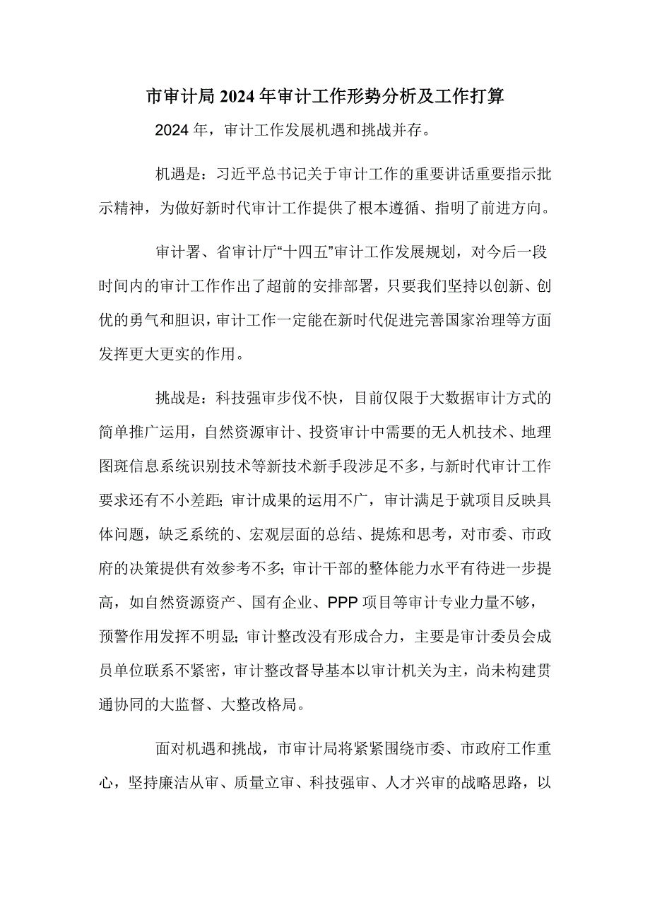 市审计局2024年审计工作形势分析及工作打算_第1页