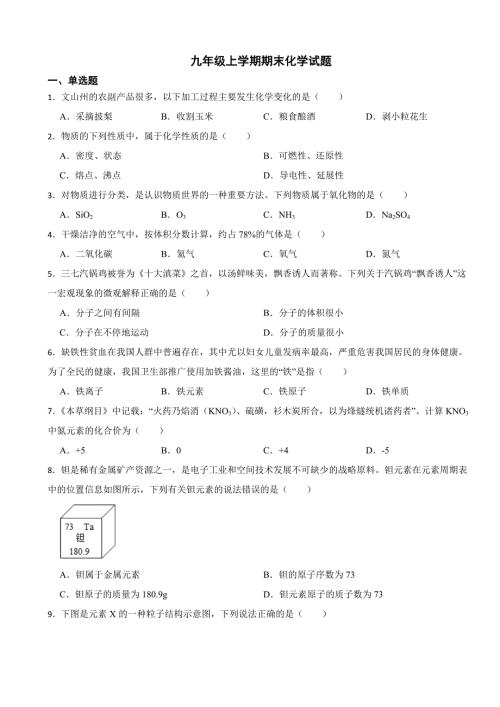 云南省文山州2023年九年级上学期期末化学试题附答案