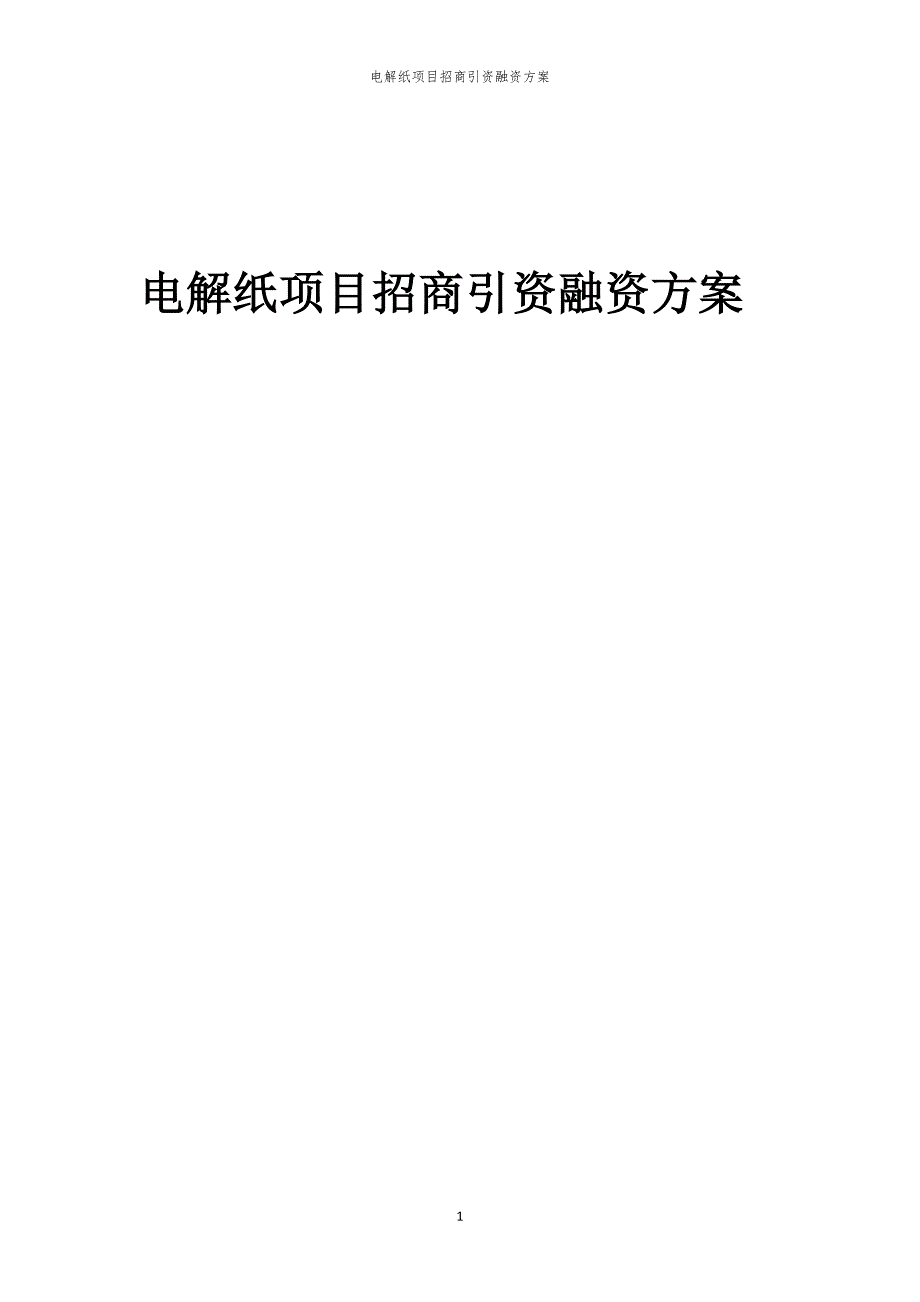 电解纸项目招商引资融资方案_第1页