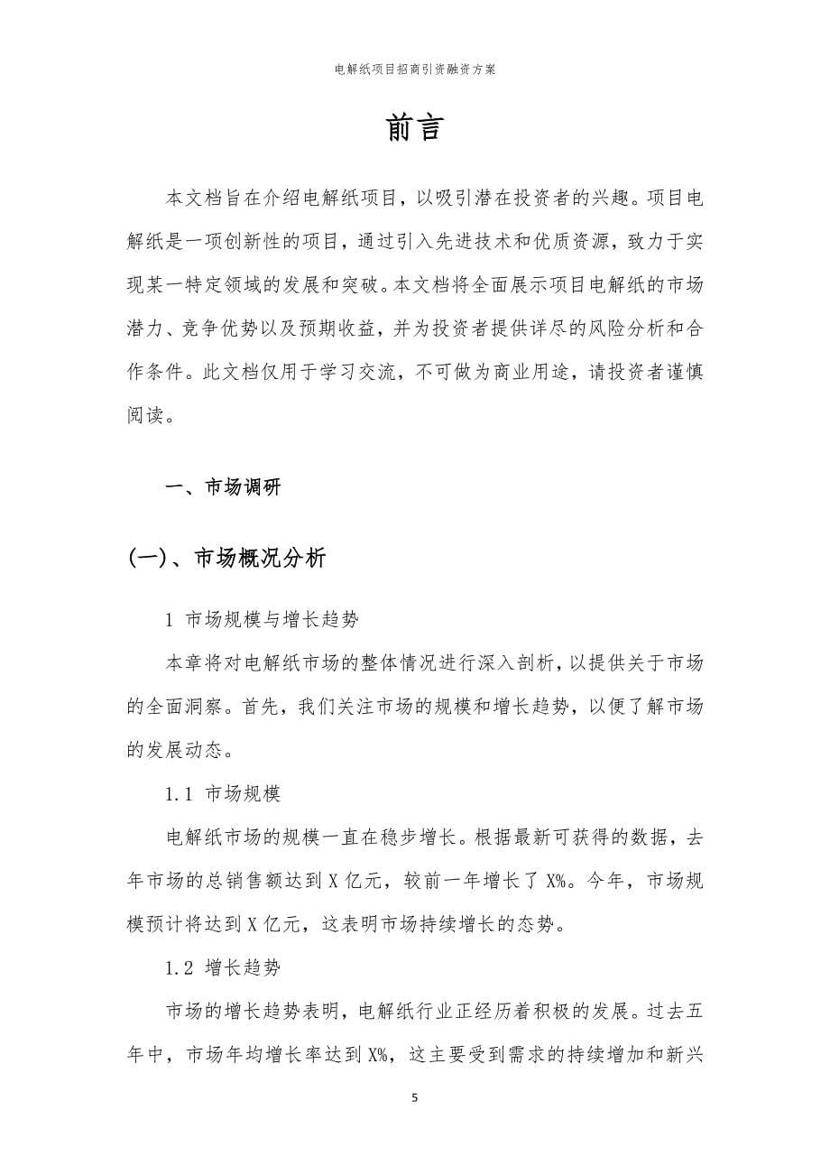 电解纸项目招商引资融资方案_第5页