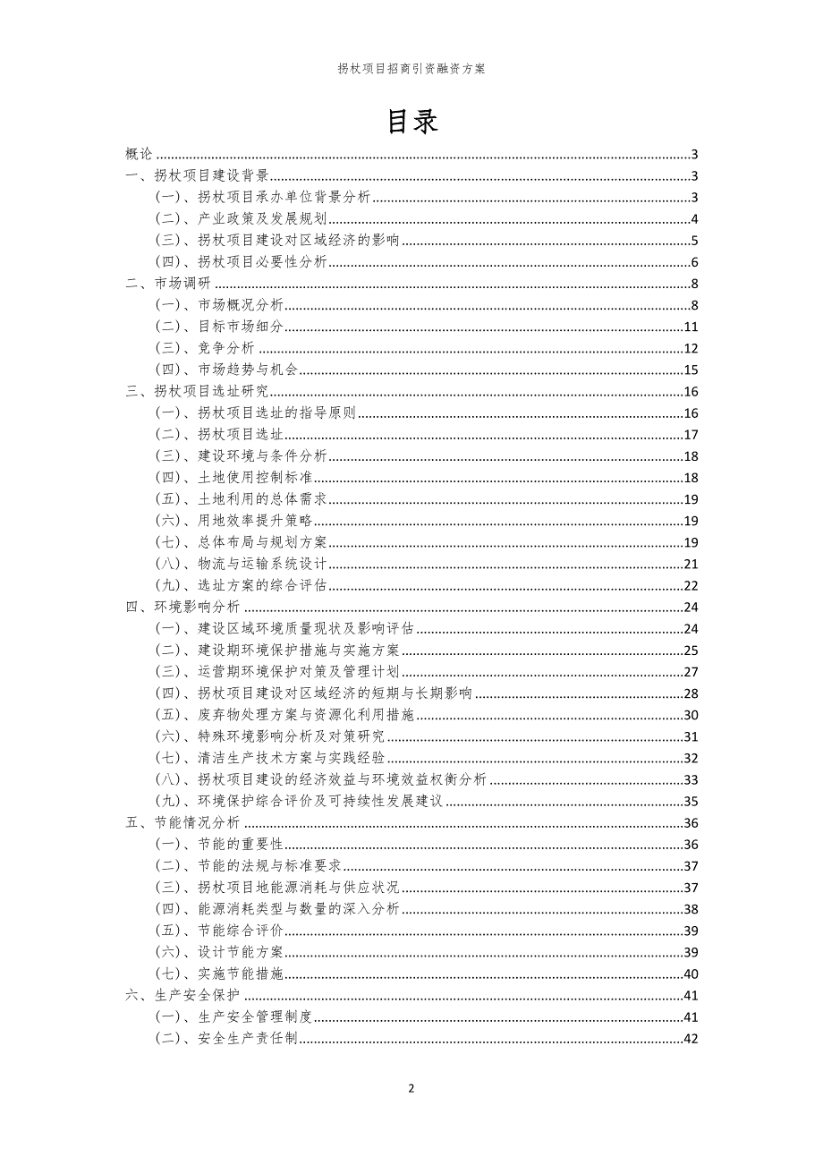 拐杖项目招商引资融资方案_第2页