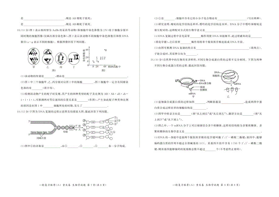 2024届重庆高三上学期一轮复习联考（二）生物试卷及答案_第4页