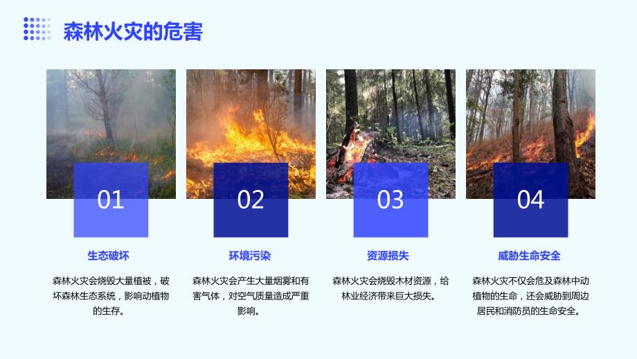 森林防火与防汛演示_第4页