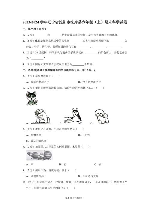 2023-2024学年小学科学六年级上册期末试题（辽宁省沈阳市法库县