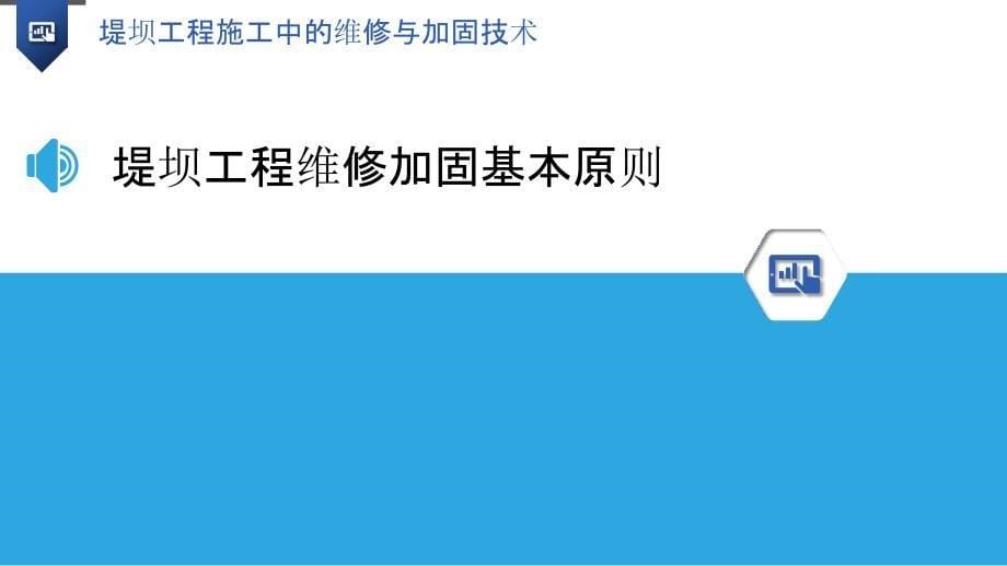 堤坝工程施工中的维修与加固技术_第5页