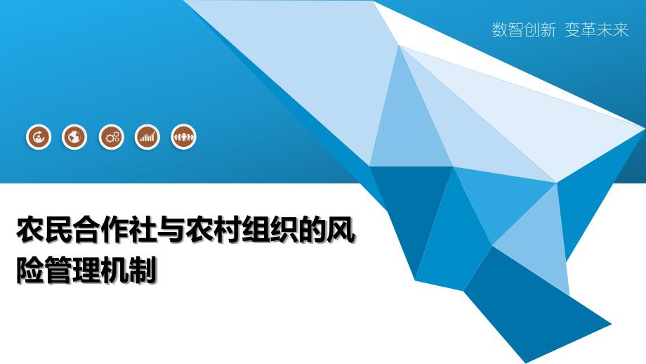 农民合作社与农村组织的风险管理机制_第1页