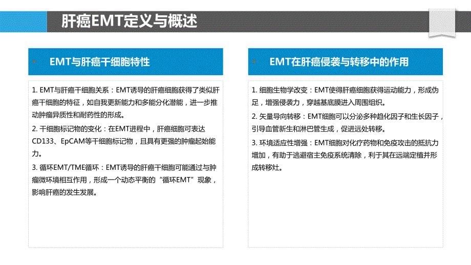 肝癌上皮间质转化（EMT）机制_第5页