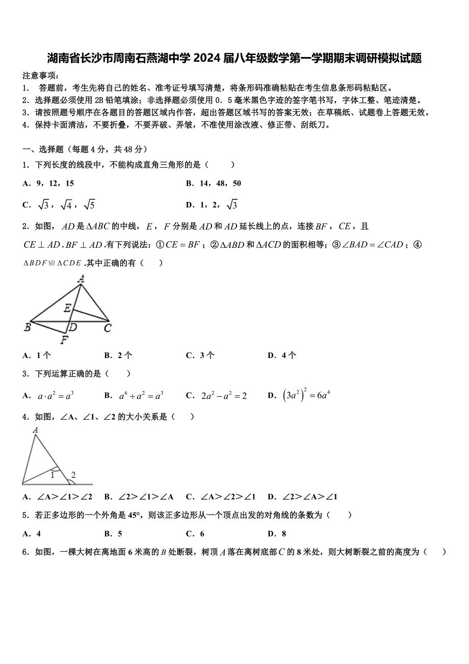 湖南省长沙市周南石燕湖中学2024届八年级数学第一学期期末调研模拟试题附答案_第1页