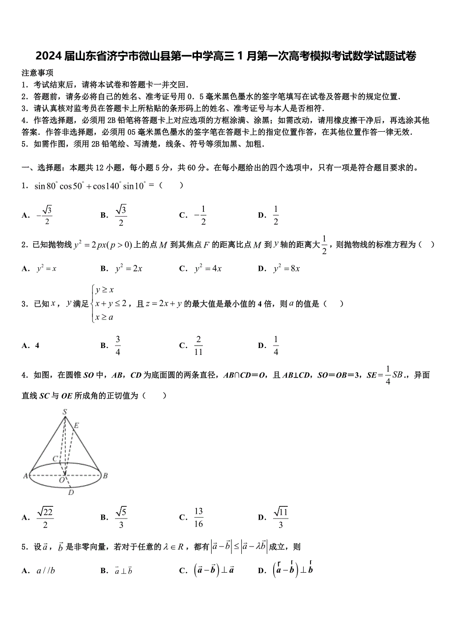 2024届山东省济宁市微山县第一中学高三1月第一次高考模拟考试数学试题试卷_第1页