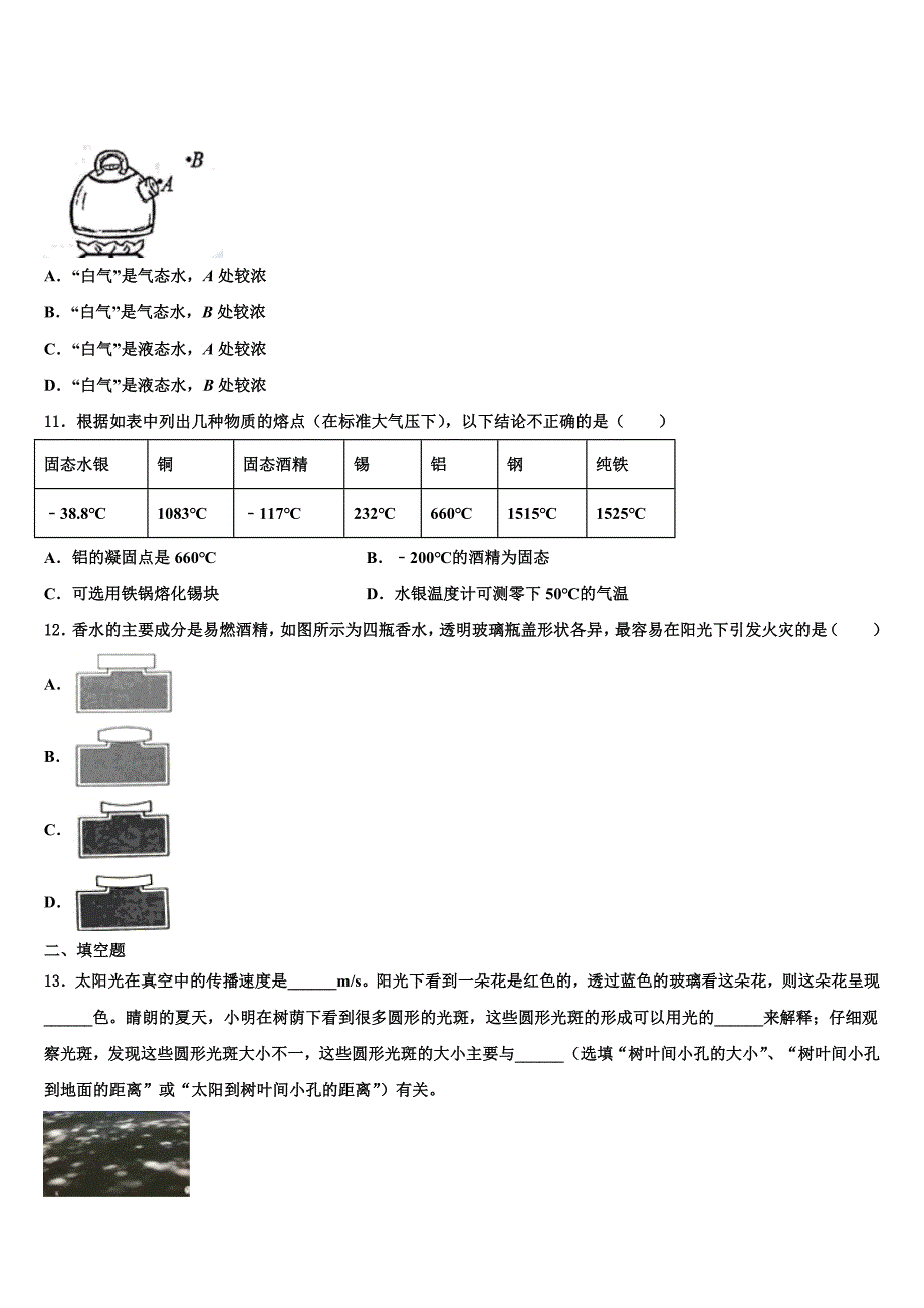 安徽省六安市裕安中学2024届八年级物理第一学期期末联考模拟试题附答案_第3页