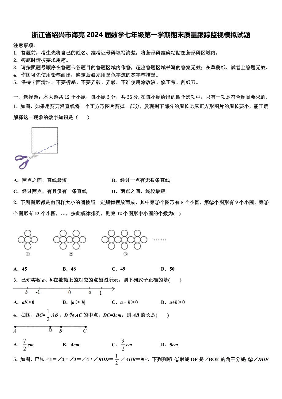 浙江省绍兴市海亮2024届数学七年级第一学期期末质量跟踪监视模拟试题附答案_第1页