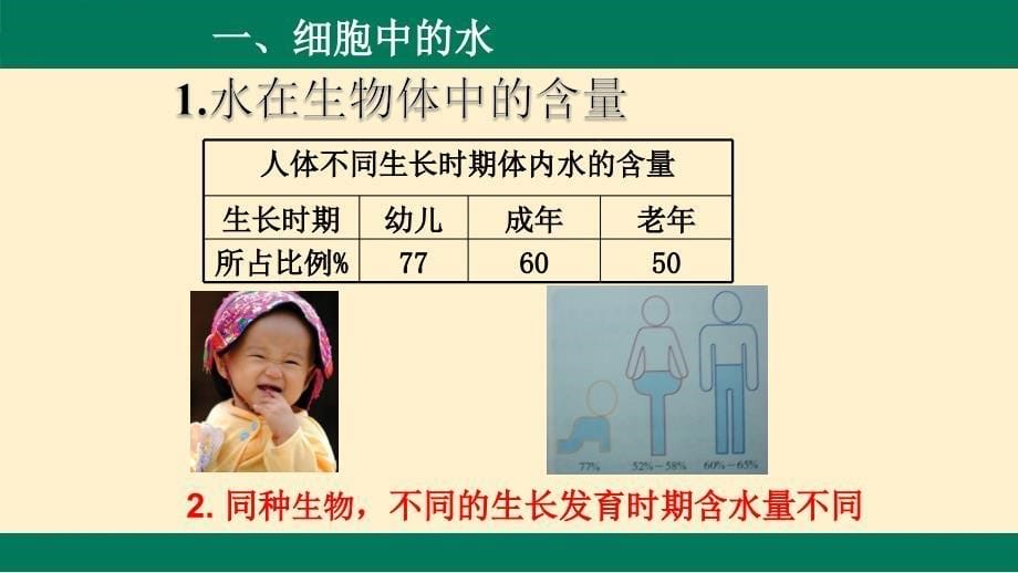 【课件】细胞中的无机物 2023-2024学年高一上学期生物人教版必修1_第5页