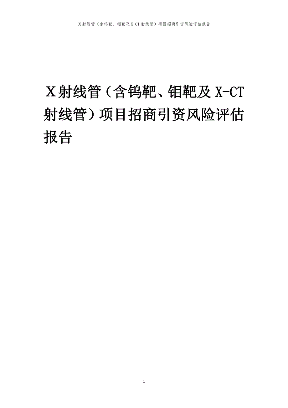 Ｘ射线管（含钨靶、钼靶及X-CT射线管）项目招商引资风险评估报告_第1页