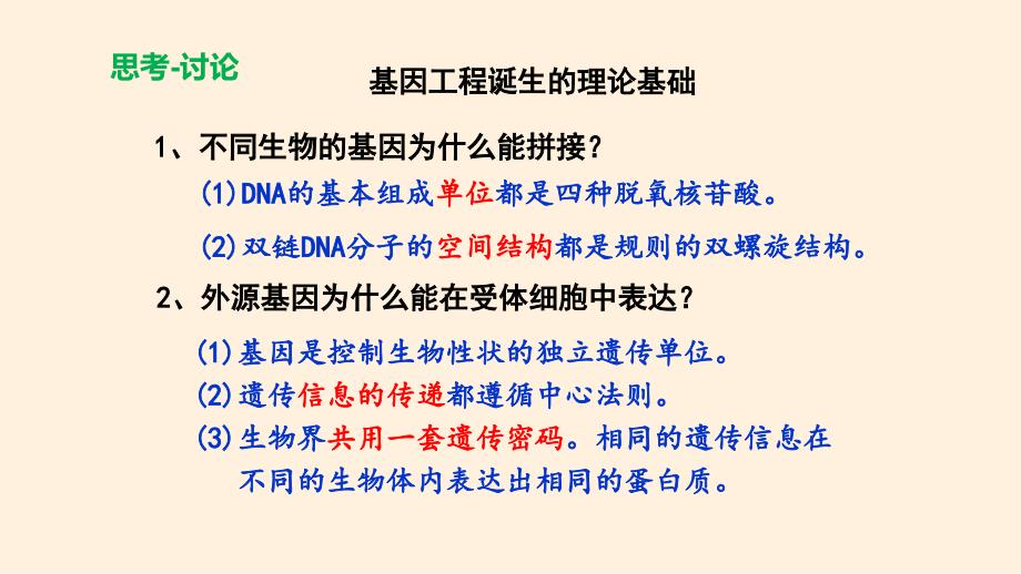 【课件】重组DNA技术的基本工具 2023-2024学年高二下学期生物人教版选择性必修3_第4页